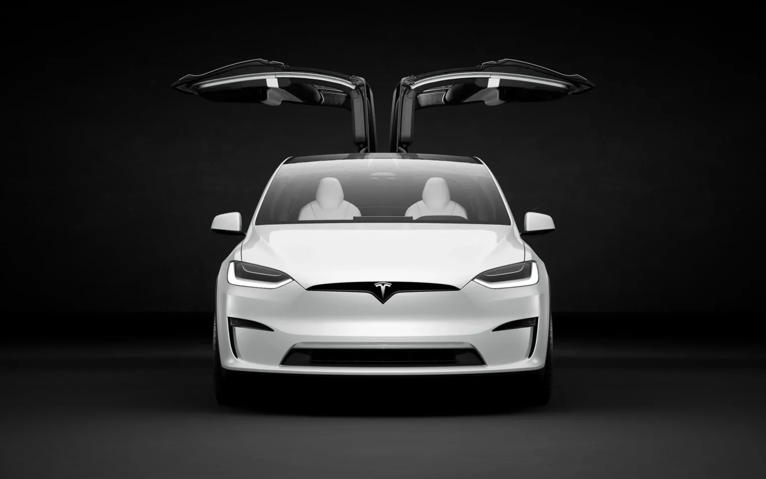 2023 Tesla Model X Exterior Image 24