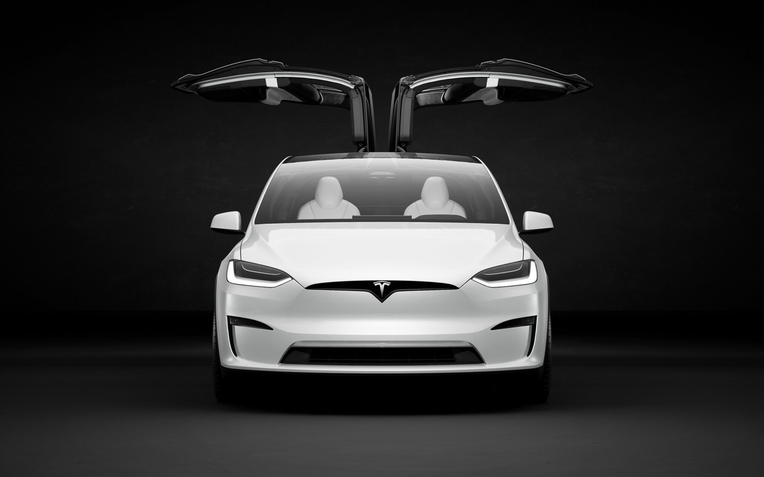 7 Seater Electric SUV Tesla Model X (1)